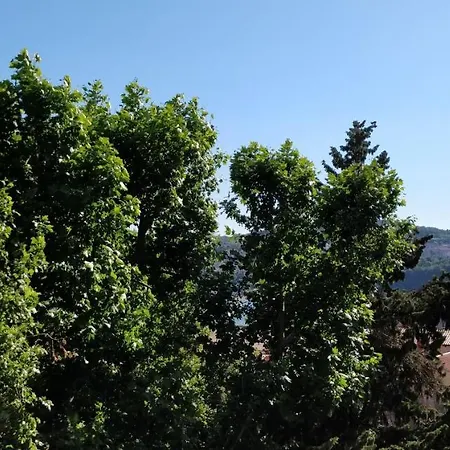 Center Apartment Koper