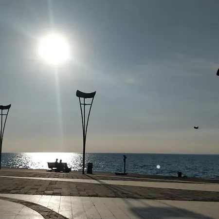 Center Koper