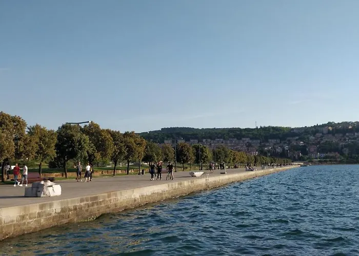 公寓 Center 科佩尔